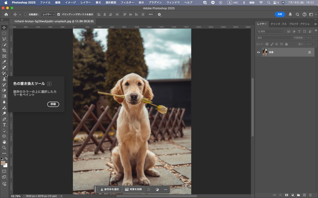 Photoshopの左のツールバーから「色の置き換えツール」を選択する画面